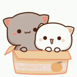 Peach And Goma Cuddling In Box GIF