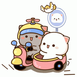 Peach And Goma Pink Bike Ride GIF