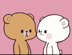 Peach Cat Adventure Slow Abrazo  GIF