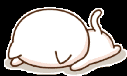 Peach Cat Faceplant GIF
