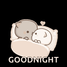 Peach Cat Good Night Kiss GIF