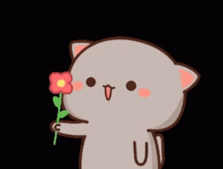 Peach Cat Holding A Flores GIF