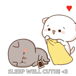 Peach Cat Sleep Well Cutie Sleepy Meme GIF