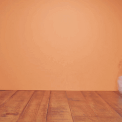 Peach Cocktail Mixology Time Lapse GIF