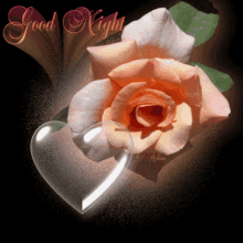 Peach Rose And Bubble Hearts Good Night GIF