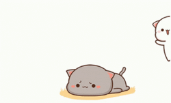 Peach Running And Back Riding Goma GIF