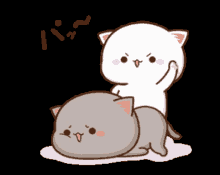 Peach Spanking Goma Cat GIF