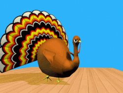 Peacock On Bowling Alley GIF
