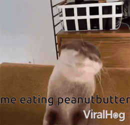 Peanut Butter GIF