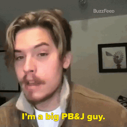 Peanut Butter Jelly Time Big Fan GIF