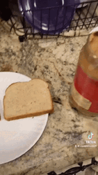 Peanut Butter Jelly Time Hand Made Meme GIF