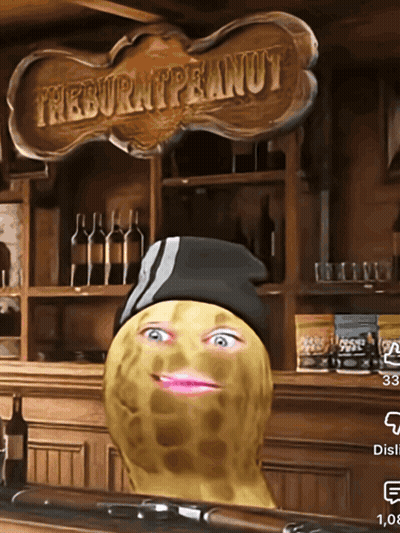 Peanut In Black Hat By The Burnt Peanut Sign GIF