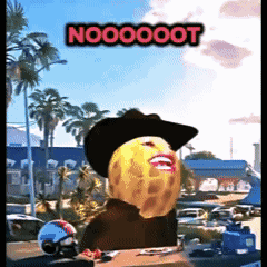 Peanut In Cowboy Hat Saying Nooooot GIF