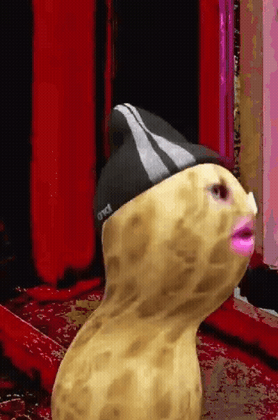 Peanut Wearing Hat Saying OWCT GIF
