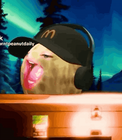 Peanut Wearing Headphones And McDonald's Hat GIF