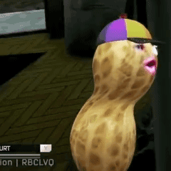 Peanut Wearing Purple Yellow Blue Hat GIF