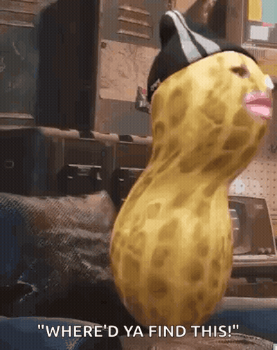 Peanut With Hat Being Held GIF