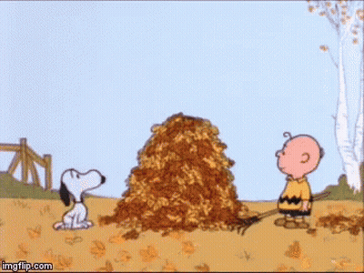 Peanuts Character Eating Lollipop GIF
