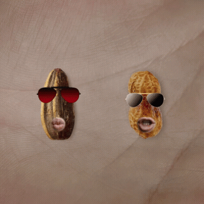 Peanuts Characters Playing In Grass With Dog GIF