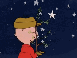 Peanuts Merry Christmas Charlie Looking At Sparkling Star GIF