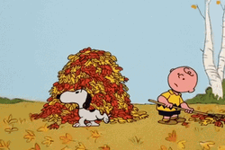 Peanuts Scene Snoopy And Charlie GIF