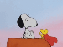 Peanuts Woodstock Giving Valentines Heart To Snoopy GIF