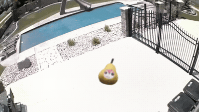 Pear With Face Floating In Air GIF