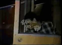 Pearl Jam Eddie Vedder Wearing Dark Shades GIF