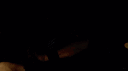 Pearl Jam Jeff Ament Drum Beats GIF
