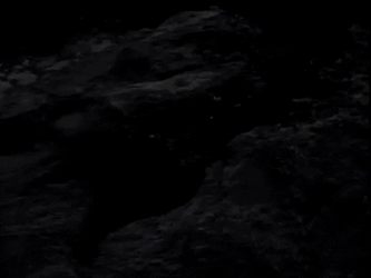 Pearl Jam Members Black And White Shot GIF