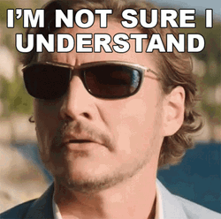 Pedro Pascal I'm Not Sure I Understand GIF