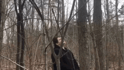 Pee In The Forest Woods GIF
