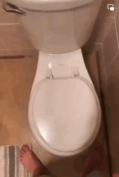 Pee On Toilet Wife Wants To Watch GIF