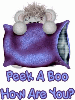 Peek A Boo How Are You Doing GIF