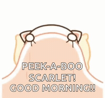 Peek-A-Boo Scarlet Cat Good Morning GIF