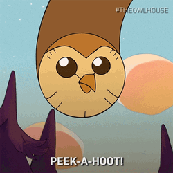 Peek A Hoot Hi Animated Owl GIF