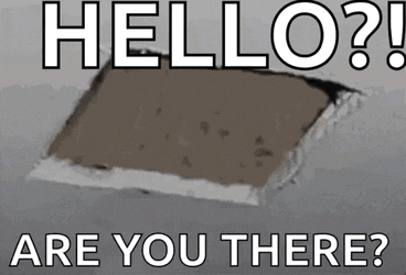 Peek Cat GIF