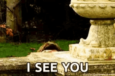 Peeking Drwho GIF