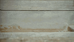 Peeking Interested GIF