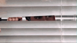Peeping Tom Sneking Behind Blinds GIF