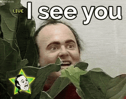 Peeping Tom Stalker Sneaking I See You GIF