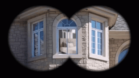 Peeping Tom Watching Fat Guy Meme GIF