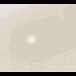 Peeps Marshmallow Bunnies GIF