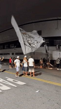 Pele Fans Unite With Flags In Hand GIF