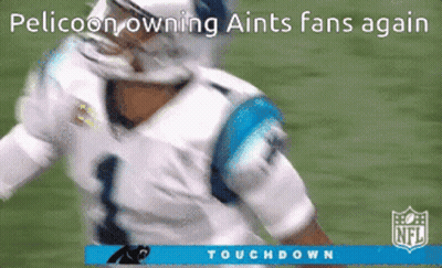Pelicoon Owning Aints Fans Again Football Player GIF