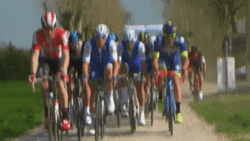 Peloton Cycling Go Away GIF