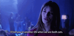 Penelope Cruz When We Are Both Cats GIF