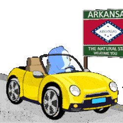 Pengu Pudgy Sticker GIF