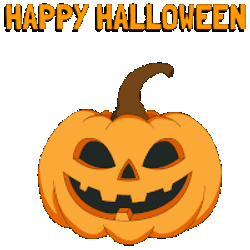 Pengu Pudgy Sticker GIF