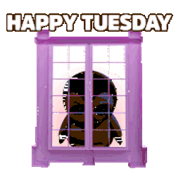 Pengu Tuesday Sticker GIF